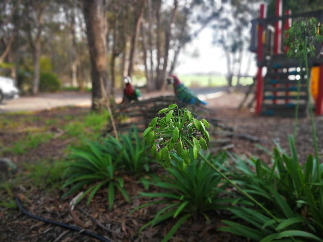 Kalimna Woods Cottages Lakes Entrance Exterior foto