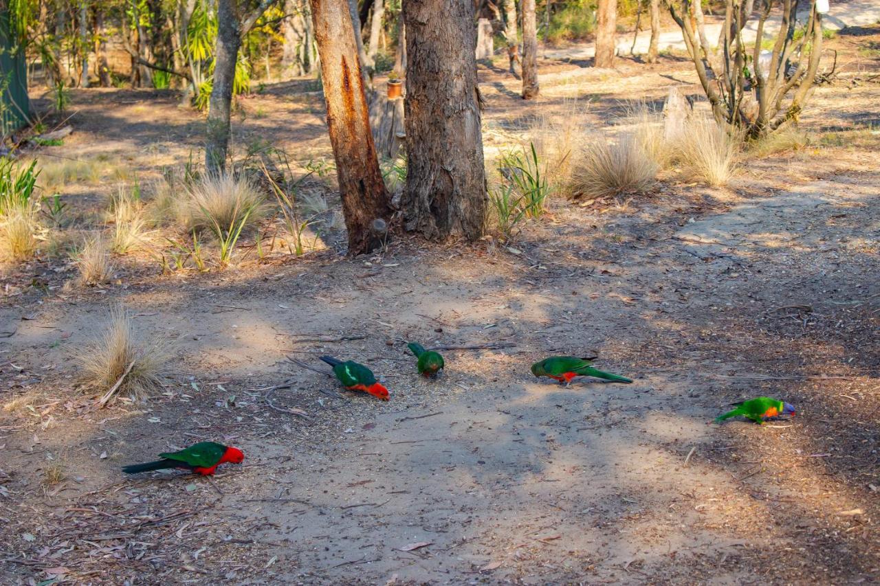 Kalimna Woods Cottages Lakes Entrance Exterior foto